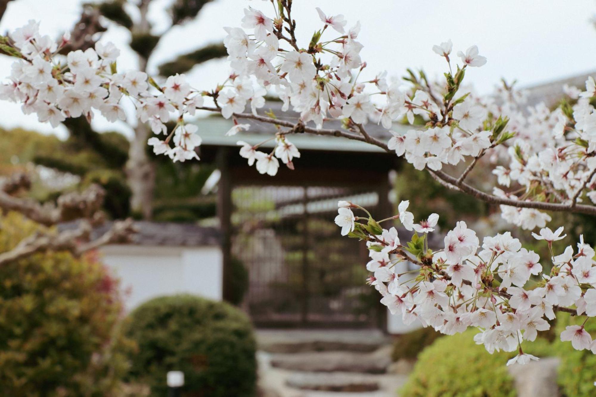 Villa Shinobi -忍- Hinase 외부 사진